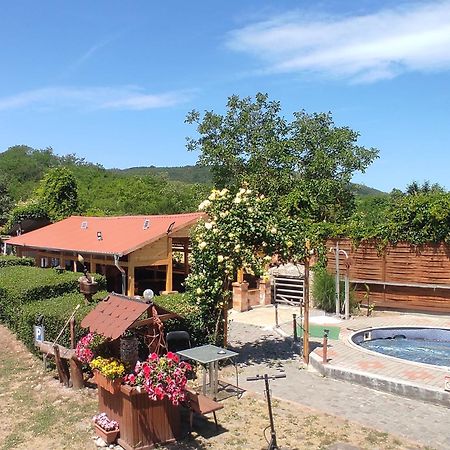 Guesthouse Ilona Velky Kamenec ภายนอก รูปภาพ