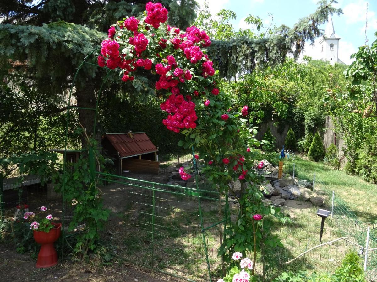 Guesthouse Ilona Velky Kamenec ภายนอก รูปภาพ