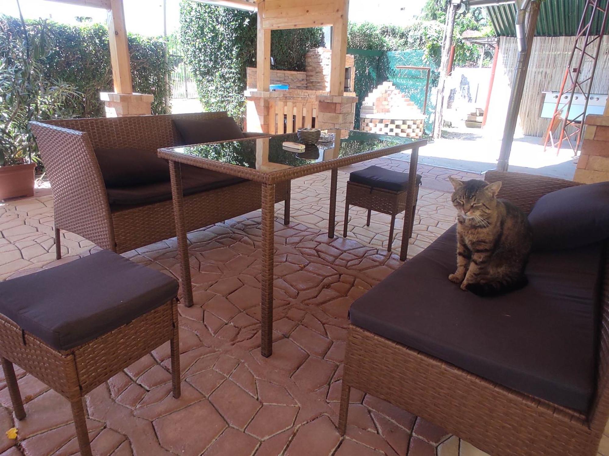 Guesthouse Ilona Velky Kamenec ภายนอก รูปภาพ
