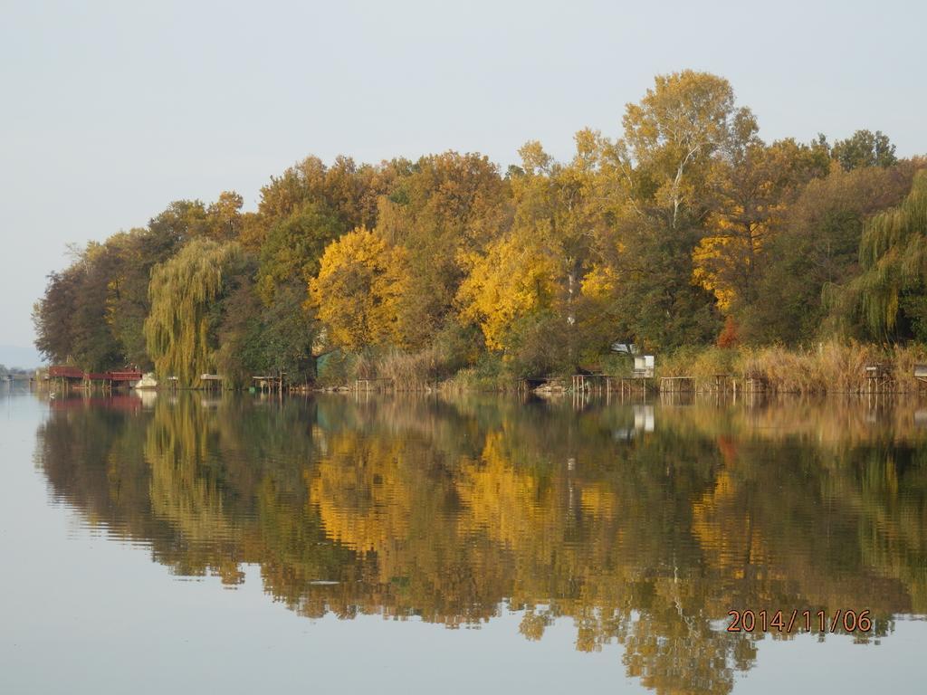Guesthouse Ilona Velky Kamenec ภายนอก รูปภาพ